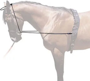 Produktbild von Elastisches Zaumzeug für Pferde Hispano Hipica