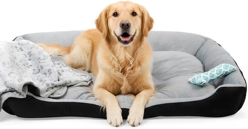 Produktbild von ElitVita Tierbett Hundebett, Hundekorb, mit Decke und Kleines Kissen in Knochenform, Polyester, Rutschfest, Maschinenwaschbar, für Kleine und Mittelgroße Hunde Katzen