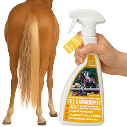 Produktbild von EMMA Mähnenspray Pferd Pony Fellpflege Glanzspray & Kämmbarkeit - 2 x 0,5 l