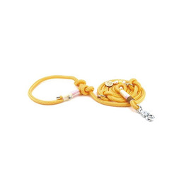 Produktbild von Emmy & Pepe Retrieverleine Hermine S