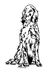 Produktbild von English Setter Grafiklizenz