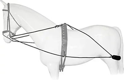 Produktbild von Enrênement Pessoa Lexhis