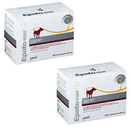 Produktbild von Epato 1500 plus Tabletten - 2 x 120 Stk.