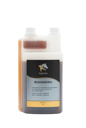 Produktbild von Equanis BronchoActive - 1 l