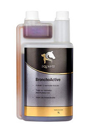 Produktbild von Equanis BronchoActive - 1 l