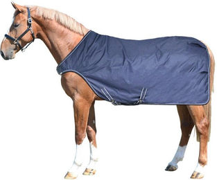 Produktbild von Equest Führanlagendecke Kingston 600D 100g