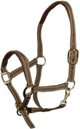 EQuest Halfter Dual Plus beige VB/COB – Bild 1 von 3