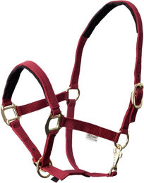 Produktbild von EQuest Halfter Dual Plus bordeaux VB/COB (Vollblut)