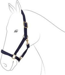 EQuest Halfter Dual Plus navy Pony – Bild 1 von 2