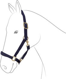 Produktbild von EQuest Halfter Dual Plus navy Warmblut