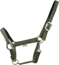 Produktbild von EQuest Halfter Dual Plus Nickel oliv WB