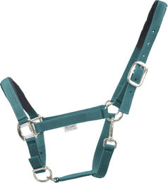 Produktbild von EQuest Halfter Dual Plus Nickel petrol Warmblut