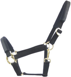 Produktbild von Equest Halfter EQ Stretch Messing Finish