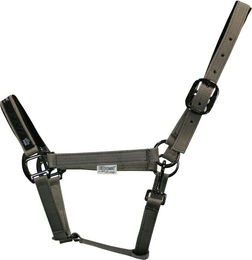 Produktbild von EQuest Halfter Uno plus Retro Warmblut