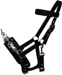 Produktbild von EQuest Kappzaum Gurt