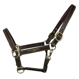 EQuest Lederhalfter Inscribe für Pferde unterlegt Mocha L Full/Warmblut – Bild 1 von 4