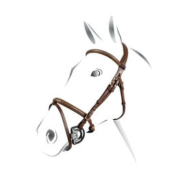 Produktbild von EQUESTRO Briglia Clincher Messing ohne Nieten, COB, dunkelbraun