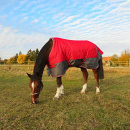 Produktbild von Equi-Theme EQUITHEME Decke Tyrex New 1200D - 1 Stk.