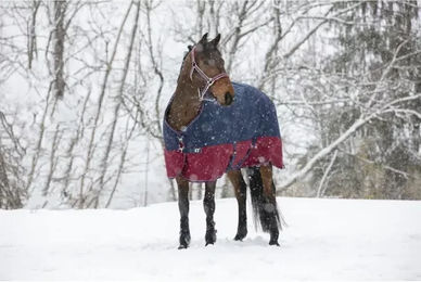 Equi-Theme EQUITHEME Decke Tyrex New 1200D – Bild 1 von 8