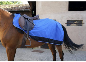 Produktbild von Equi-Theme EQUITHEME Tyrex Nierendecke 1200D gefüttert