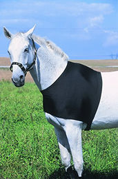 Produktbild von Equi-Theme Schulterschutz S Schwarz