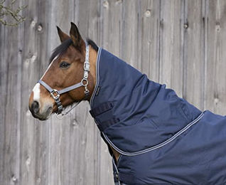 Produktbild von Equi-Theme Tyrex 600 D Halsteil für Pferde