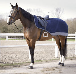 Produktbild von Equi-Theme Tyrex 600 D Übungsdecke