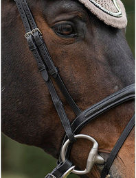 Produktbild von Equiline Flachpfosten für Pferd 2er-Set