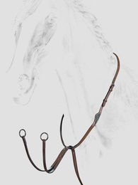 Produktbild von Equiline Klassische Ring Martingale