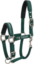 Produktbild von Equiline Timmy Halfter