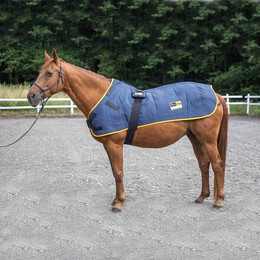 Produktbild von equimag expert Deckenapplikator