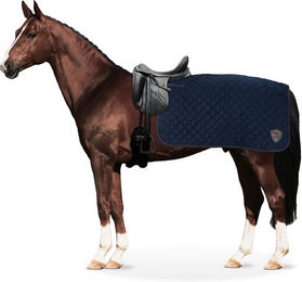 Equinate Ausreitdecke Lancaster mit Teddyfell navy L – Bild 1 von 3