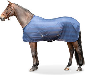 Equinate Fliegendecke Guardian mit Kreuzbegurtung und Widerristpolster – Bild 1 von 5