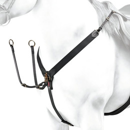 Produktbild von Equipe BP01 Vorderzeug