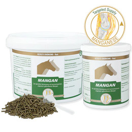 Produktbild von Equipower Mangan