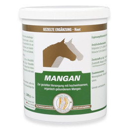 Produktbild von Equipower Mangan - 800 g