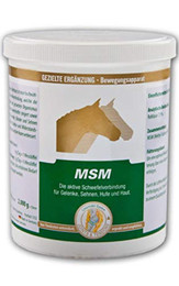 Produktbild von Equipower MSM - 800 g