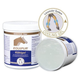 Produktbild von Equipur Kühlgel - 1 kg