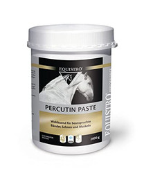 Produktbild von Equistro Percutin Paste - 2000 g