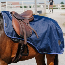 Produktbild von Equithème Classic 600D Nierendecke