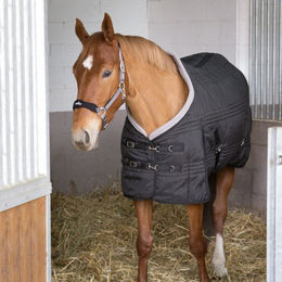 Produktbild von Equithème Cooltech 400g - schwarz