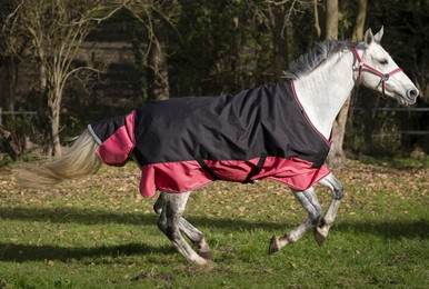 Produktbild von Equithème Decke "Tyrex 1200D" 0g