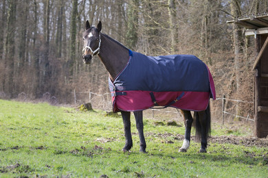 Produktbild von Equithème Decke &quot;Tyrex 1200D&quot; 150g