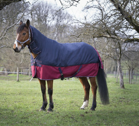 Produktbild von Equithème Decke "Tyrex 1200D" Combo 350g