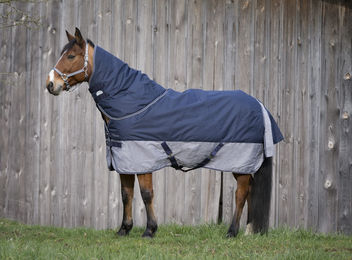 Produktbild von Equithème Decke "Tyrex 600D" 150g