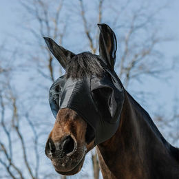 Produktbild von Equithème Fliegen-/UV-Maske Lycra