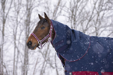 Produktbild von Equithème Halsteil "Tyrex 1200D" 0g