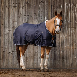 Produktbild von Equitheme Micro Mesh Decke