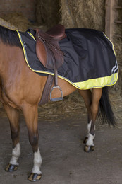 Produktbild von Equithème Nierendecke Tyrex 600D "Reflective"