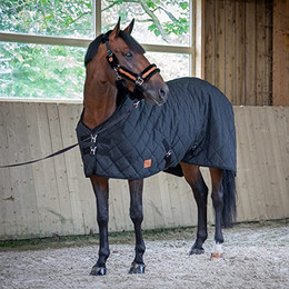Produktbild von Equithème Paddock Stalldecke 200g - 200 g